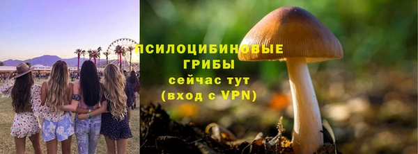Альфа ПВП Абаза
