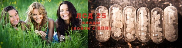 прущие крисы Абдулино