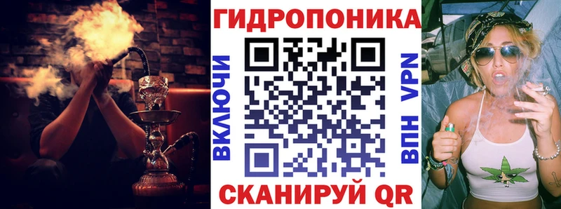 omg рабочий сайт  Нерчинск  Конопля план 